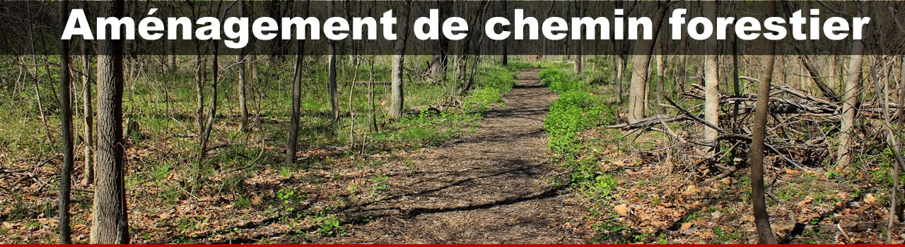 Aménagement de chemin forestier