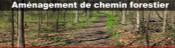 Aménagement de chemin forestier